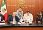 Acusan que ciudadano fue forzado a disculparse con Fernández Noroña