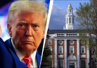 Gobierno de Trump prohíbe a Harvard la admisión de estudiantes extranjeros