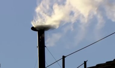 Humo blanco en la Capilla Sixtina anuncia elección de nuevo Papa