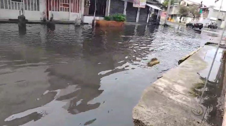 Chalco vuelve a inundarse tras fuertes lluvias como en 2024