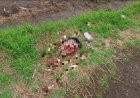 Dejan dos cabezas humanas en baldíos de la comunidad de Huexoculco en Chalco