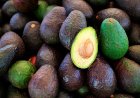 Aguacate, alimento que más inflación interanual tuvo durante abril de 2025