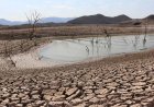 Antorchistas piden a Sheinbaum declarar a Sinaloa zona de desastre por sequía
