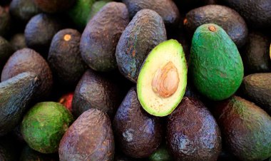 Aguacate, alimento que más inflación interanual tuvo durante abril de 2025