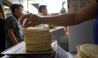 Advierten que acuerdo para disminuir precio de la tortilla será un problema para Sheinbaum
