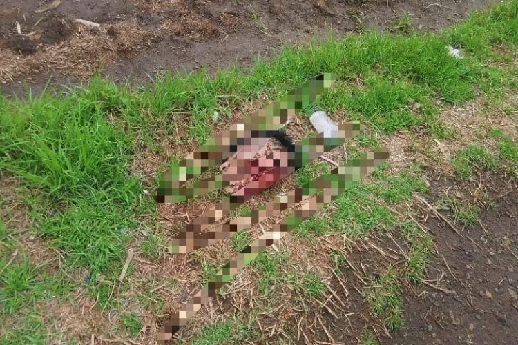 Dejan dos cabezas humanas en baldíos de la comunidad de Huexoculco en Chalco