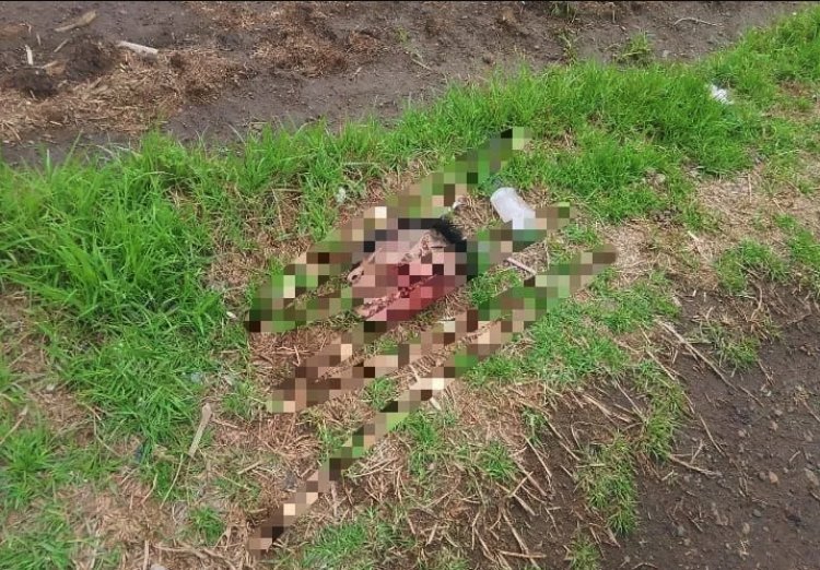 Dejan dos cabezas humanas en baldíos de la comunidad de Huexoculco en Chalco