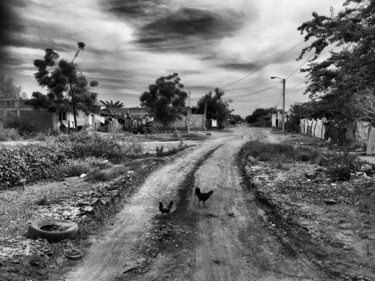 Fotoreportaje: 3 mil sinaloenses huyen de sus hogares