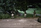 Encuentran Dron con artefacto explosivo en Coxquihui, Veracruz