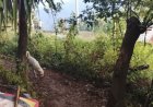 Hayan cuerpo de recién nacido en Mixtla de Altamirano, Veracruz