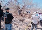 Suman 66 cuerpos encontrados en fosas clandestinas de BCS
