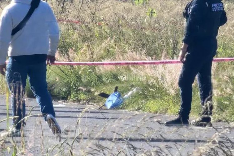 Localizan al menos seis cabezas humanas sobre carretera de Tlaxcala