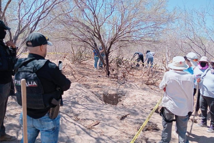 Suman 66 cuerpos encontrados en fosas clandestinas de BCS