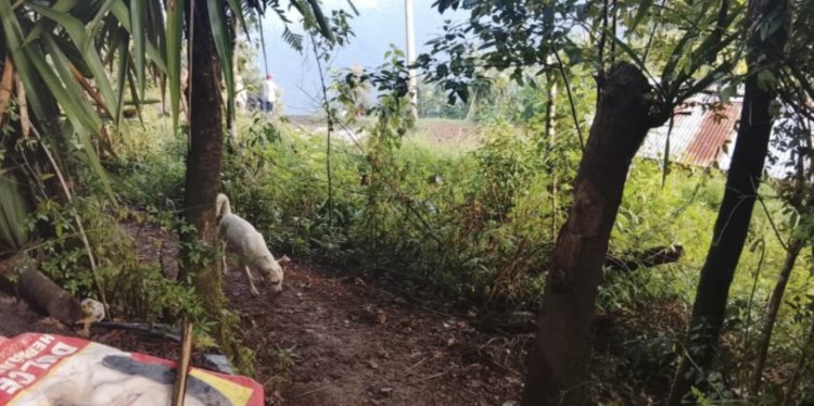 Hayan cuerpo de recién nacido en Mixtla de Altamirano, Veracruz