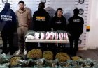 Detienen a pareja con más de 200 kilos de marihuana en Toluca