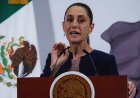 Sheinbaum asegura que se esclarecerán casos de corrupción en Segalmex e Insabi