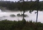 Huachigaseros provocan fuga en Nanacamilpa, Tlaxcala; evacuan a más de 3 mil personas