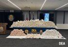 DEA confirma detención de más de 600 miembros del Cártel Jalisco Nueva Generación