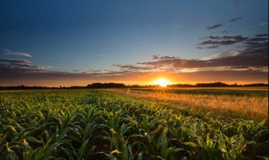 Reconocen Sistema Agrícola de Metepantle, Tlaxcala como patrimonio mundial