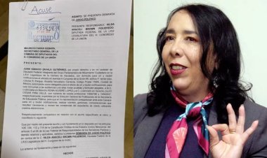 Presentan solicitud de juicio político contra diputada Hilda Araceli Brown
