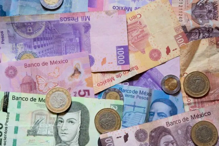 Van contra aumentos impositivos y recortes en Ley de Ingresos y Presupuesto 2026