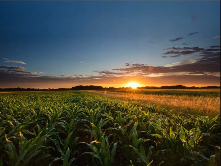 Reconocen Sistema Agrícola de Metepantle, Tlaxcala como patrimonio mundial
