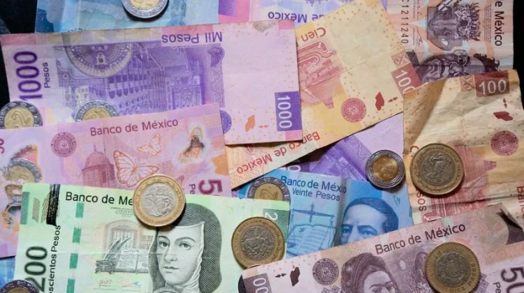 Van contra aumentos impositivos y recortes en Ley de Ingresos y Presupuesto 2026