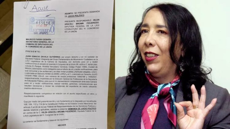 Presentan solicitud de juicio político contra diputada Hilda Araceli Brown