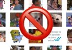 Diputado morenista Armando Corona se retracta de “Ley Antimemes” luego de provocar polémica y burlas