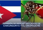 Cuba en alerta sobre aparición de formas graves de dengue