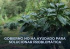 Piden apoyo en Ayohuixcuautla tras perder sus cultivos por el desastre en la Sierra Norte