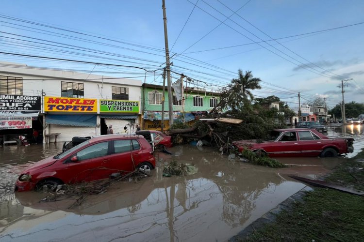 Tragedia en el norte de Veracruz; piden al gobierno de Rocío Nahle atender afectaciones