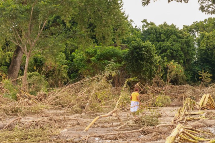 Pérdida total de cultivos en Tumbadero, Puebla por desbordamiento del río Pantepec