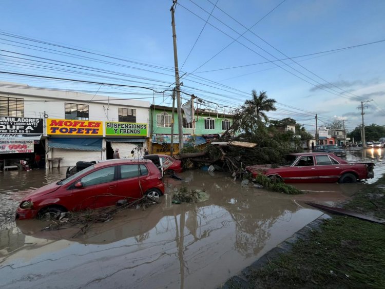 Tragedia en el norte de Veracruz; piden al gobierno de Rocío Nahle atender afectaciones
