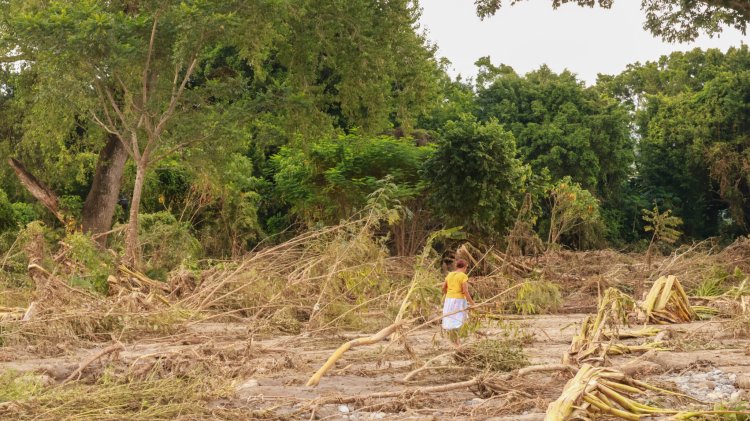 Pérdida total de cultivos en Tumbadero, Puebla por desbordamiento del río Pantepec