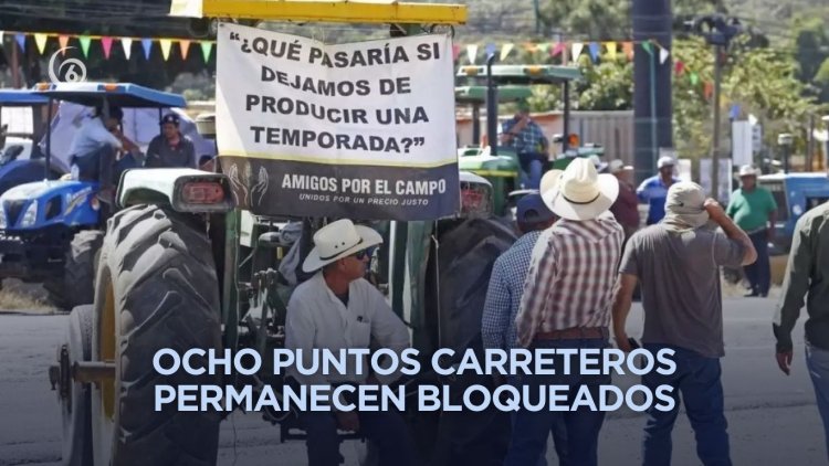 ¿Por qué se reanudaron bloqueos de agricultores?