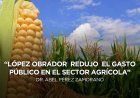 Opinión: La crisis en el mercado de maíz