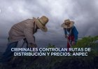 Extorsión a productores encarece directamente la canasta básica en el Estado de México