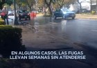 Gobiernos de Edomex y CDMX no reparan fugas de agua pese a constantes denuncias