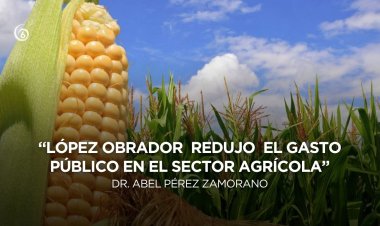 Opinión: La crisis en el mercado de maíz