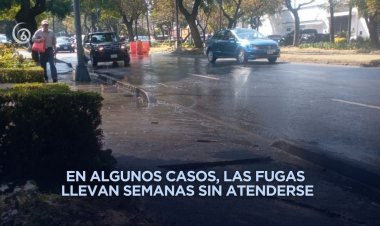 Gobiernos de Edomex y CDMX no reparan fugas de agua pese a constantes denuncias