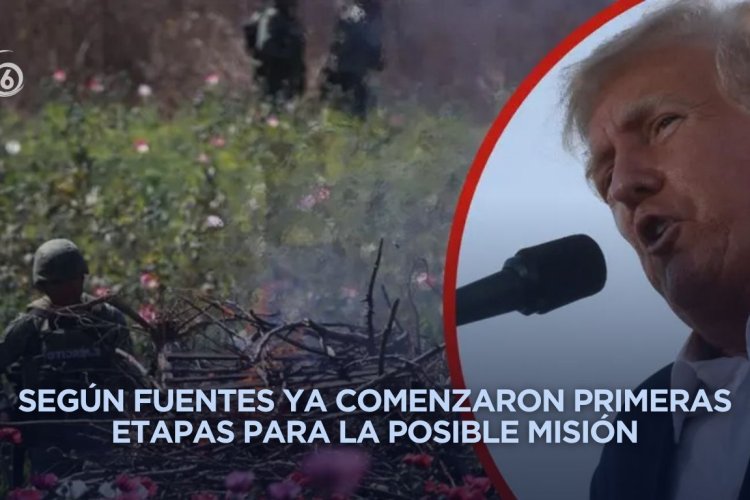 Trump reitera misión contra cárteles en México con posible despliegue militar, según medios