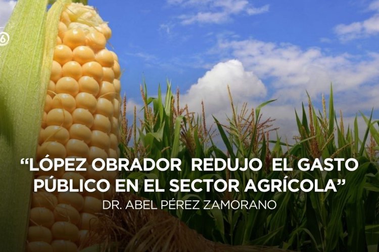 Opinión: La crisis en el mercado de maíz