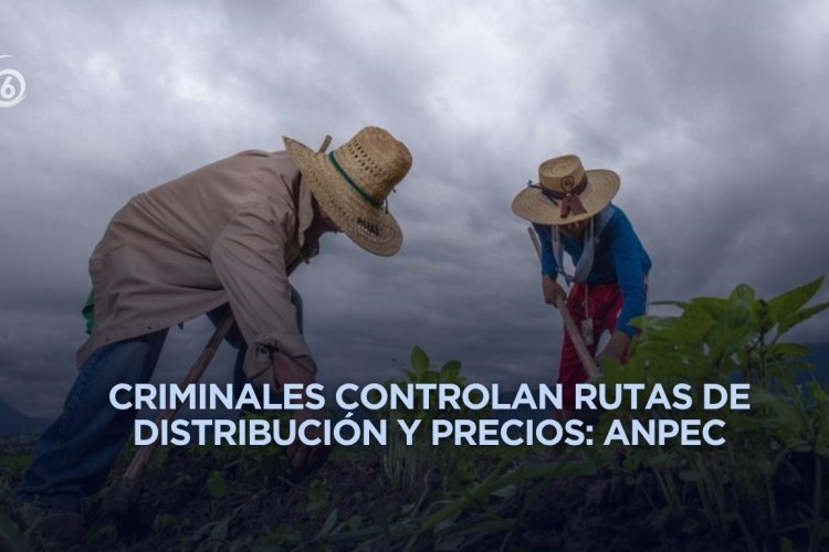 Extorsión a productores encarece directamente la canasta básica en el Estado de México