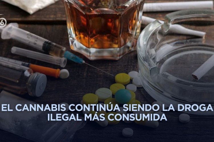 Consumo de drogas crece 40 por ciento en menos de una década en México