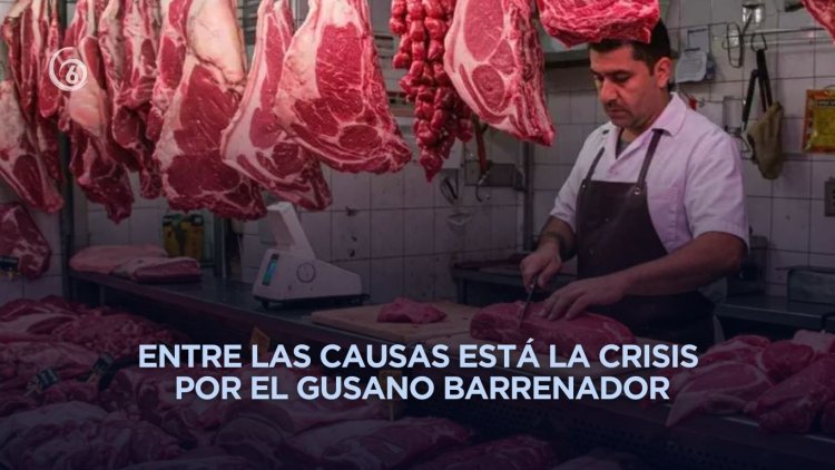 Prevén alza en el precio de la carne en México durante 2026