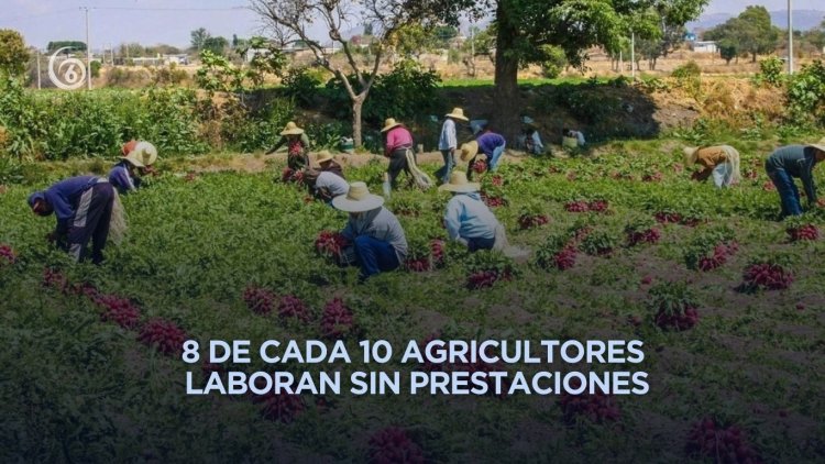 Informalidad domina el empleo agrícola en México y América Latina