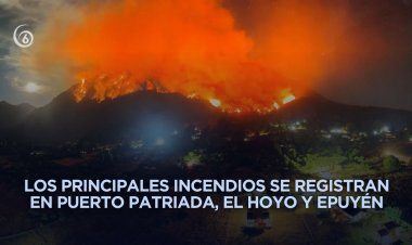 Sin reacción de Milei, incendios en Argentina calcinaron más de 25 mil hectáreas de bosques