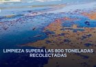 Continúa investigación de 13 buques por contaminación de hidrocarburo en el Golfo de México