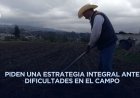 Clima extremo y falta de apoyos podría agravar crisis en el campo mexicano